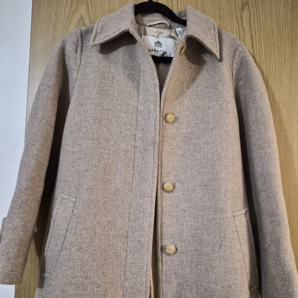 Aritzia Babaton Wool Coat, 2XS